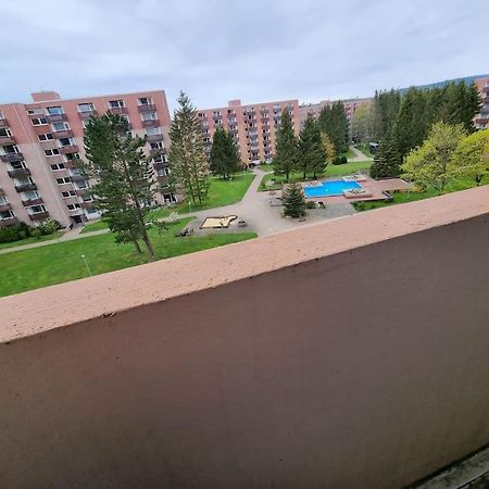 Ferienwohnung Altenau Im Harz, Hunde 外观 照片
