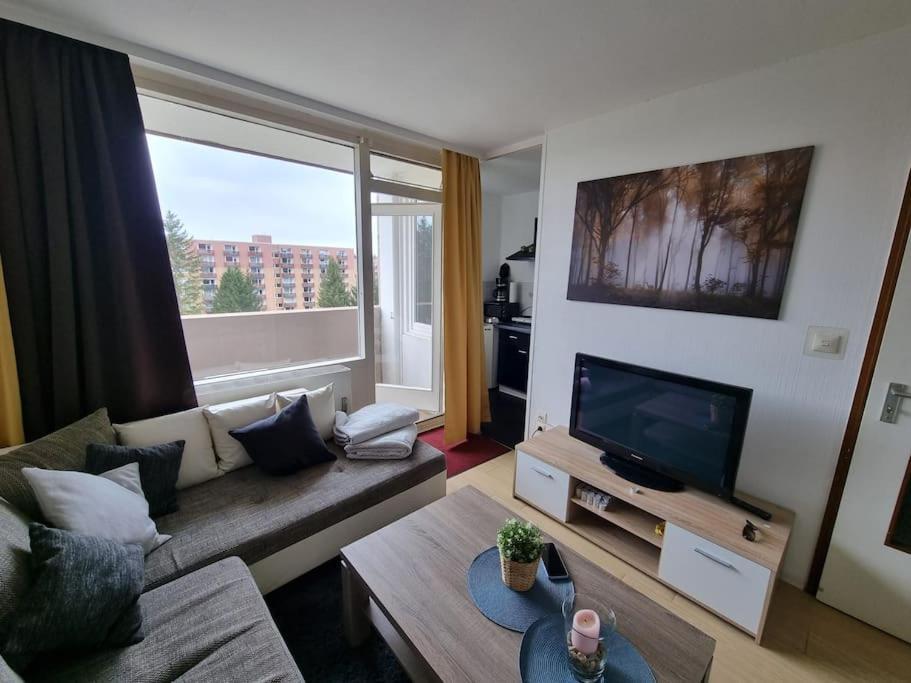 Ferienwohnung Altenau Im Harz, Hunde 外观 照片