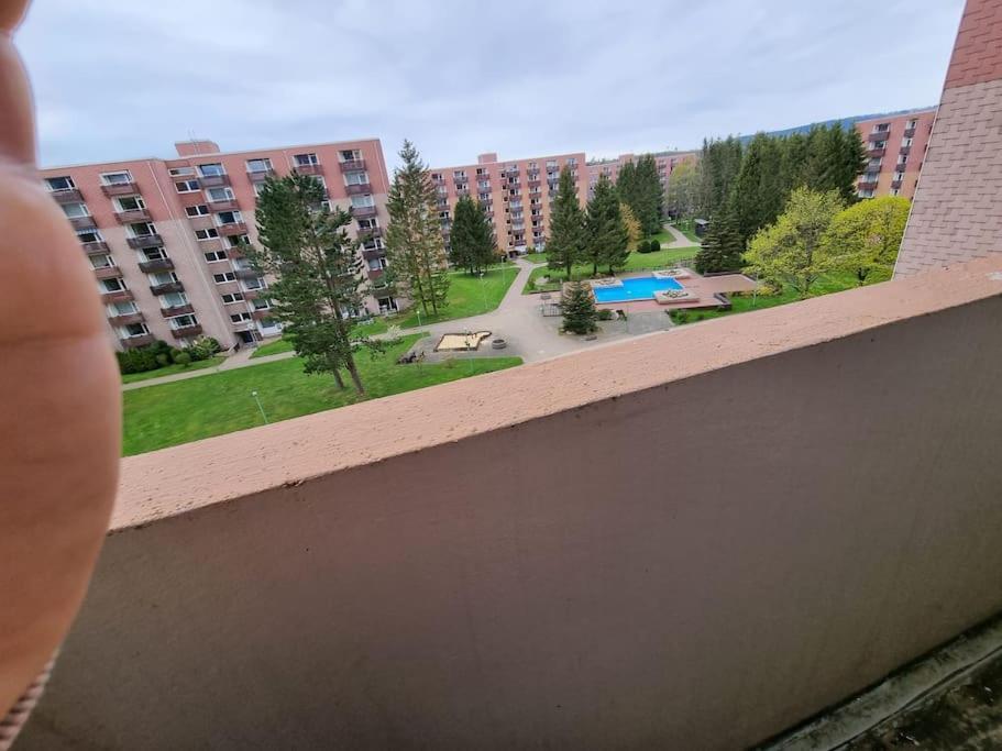 Ferienwohnung Altenau Im Harz, Hunde 外观 照片