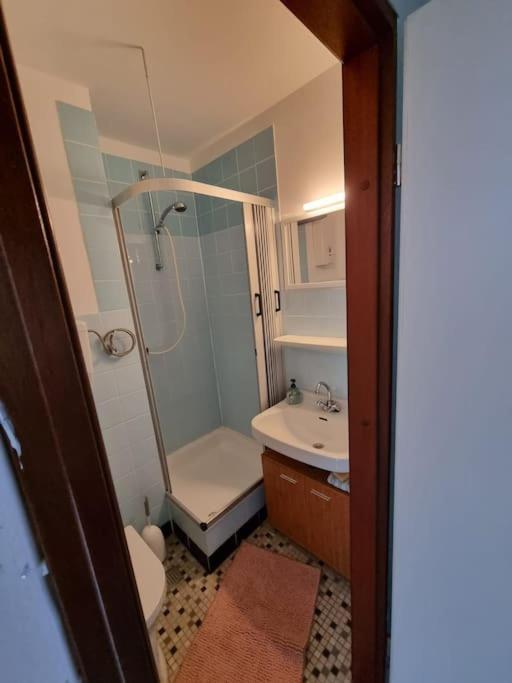 Ferienwohnung Altenau Im Harz, Hunde 外观 照片